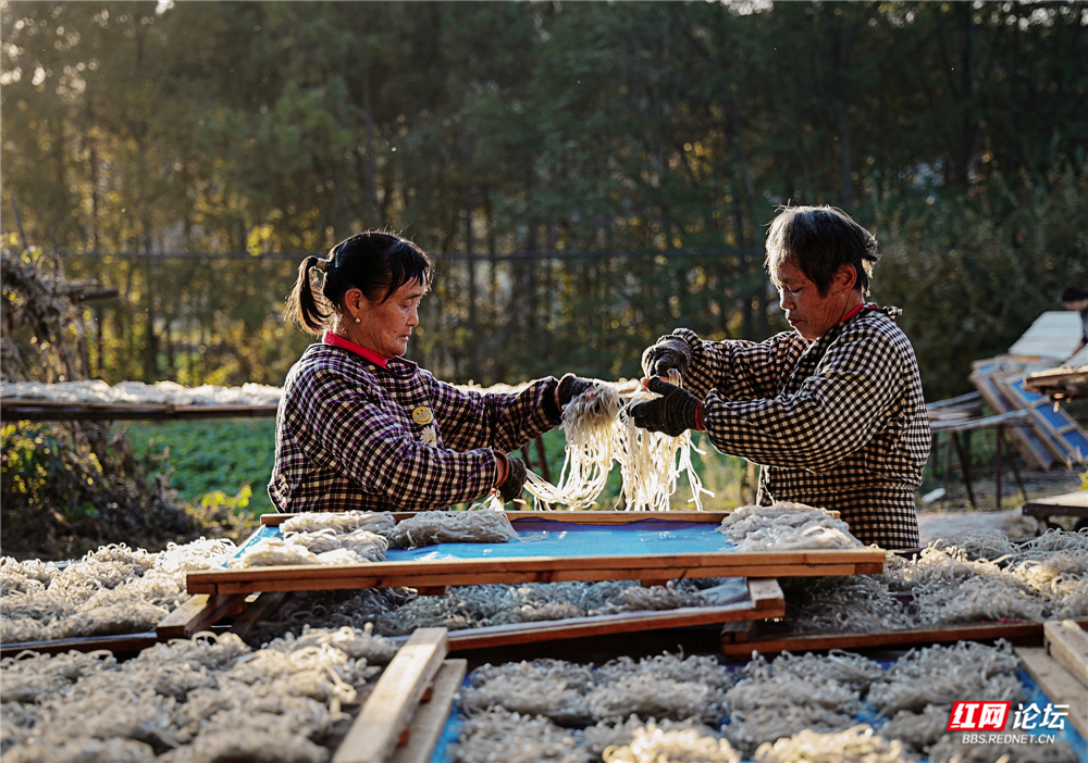 nEO_IMG_DF4A9826.jpg nEO_IMG_DF4A9826.jpg