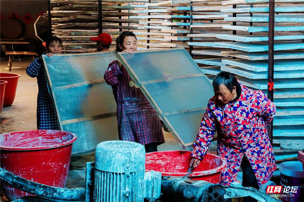 nEO_IMG_DF4A04661.jpg nEO_IMG_DF4A04661.jpg