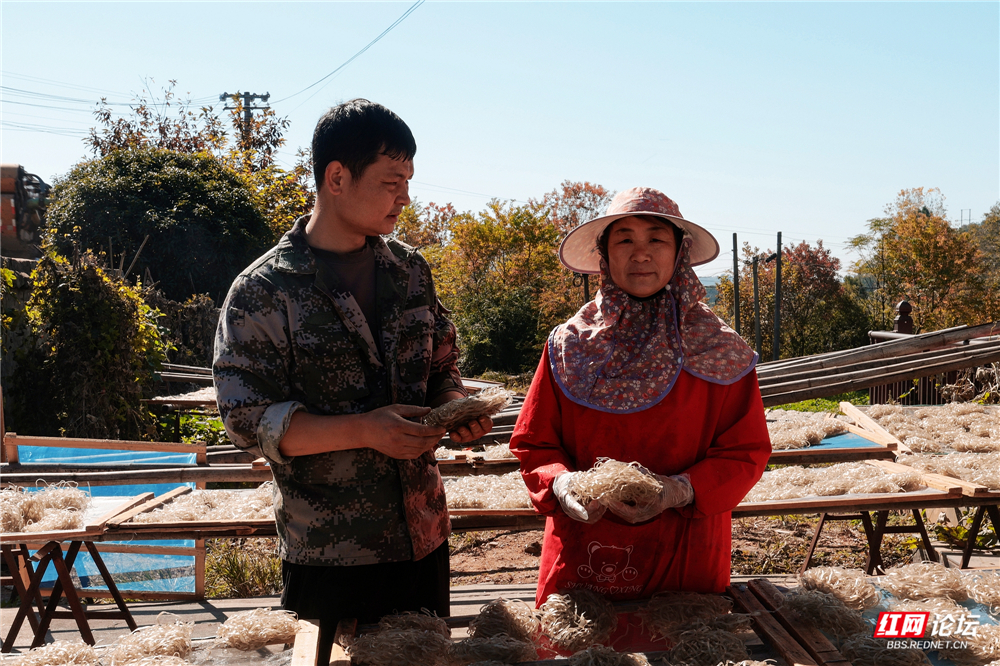 nEO_IMG_DF4A1824.jpg nEO_IMG_DF4A1824.jpg