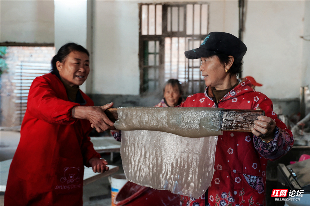 nEO_IMG_DF4A1612.jpg nEO_IMG_DF4A1612.jpg