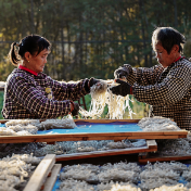 【每日一图@湖南】茶陵县洣水河畔：日光里的银丝