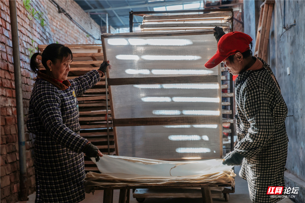 nEO_IMG_DF4A0714.jpg nEO_IMG_DF4A0714.jpg