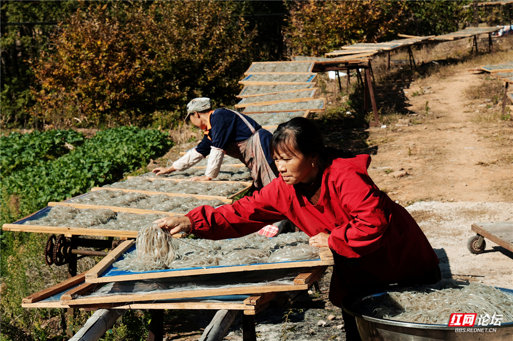 nEO_IMG_DF4A1676.jpg nEO_IMG_DF4A1676.jpg