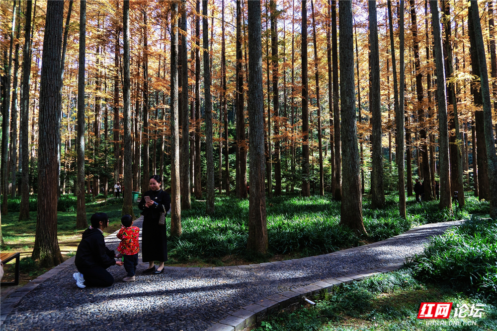 nEO_IMG__DSC5259 拷贝.jpg