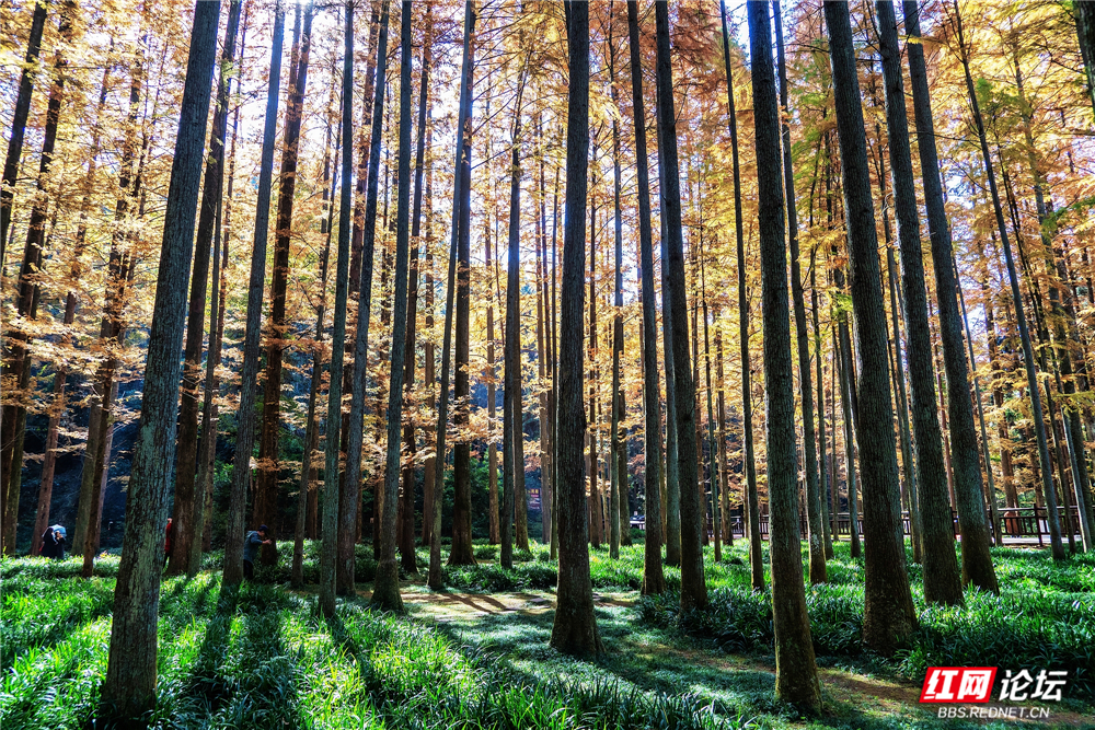 nEO_IMG__DSC4915 拷贝.jpg