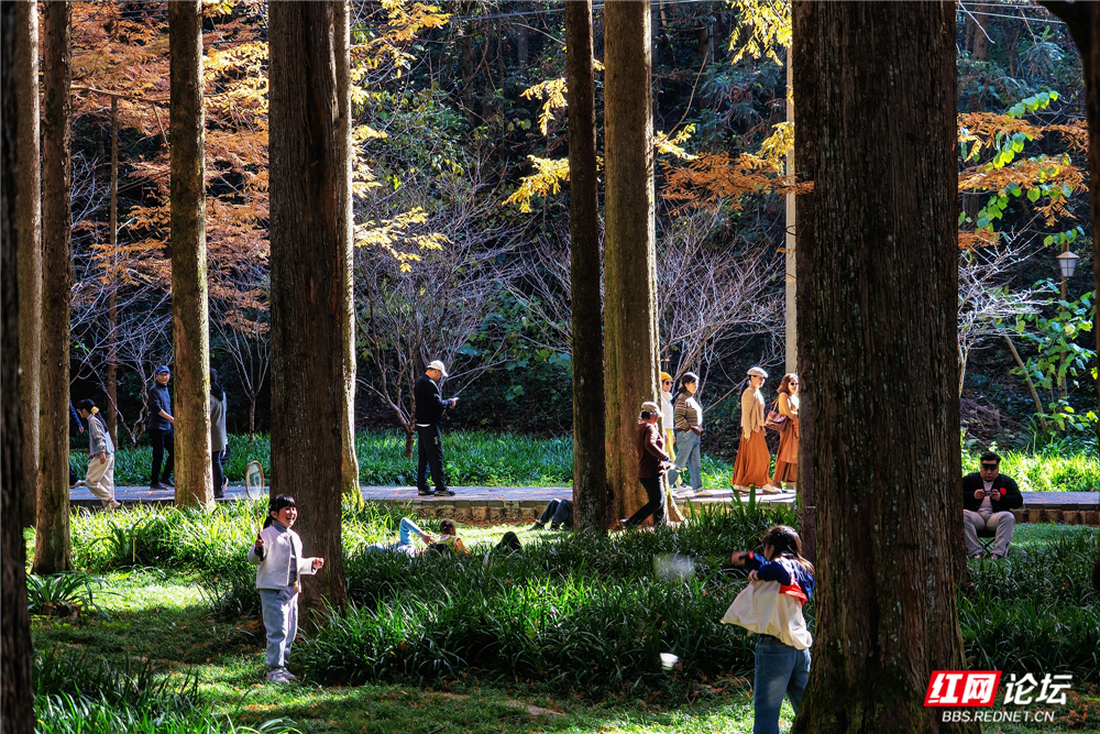 nEO_IMG__DSC5464 拷贝.jpg