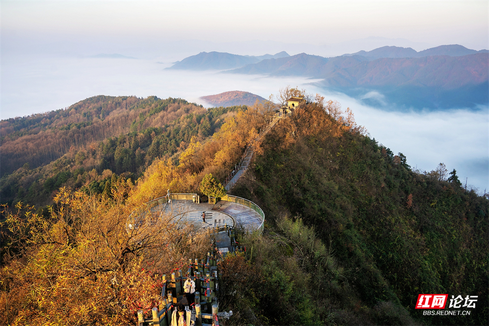 nEO_IMG__DSC5754 拷贝.jpg