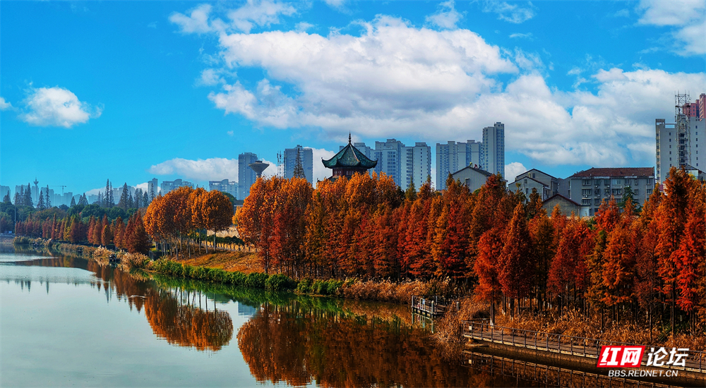 nEO_IMG_微信图片_20251205211715_126_1185.jpg nEO_IMG_微信图片_20251205211715_126_1185.jpg