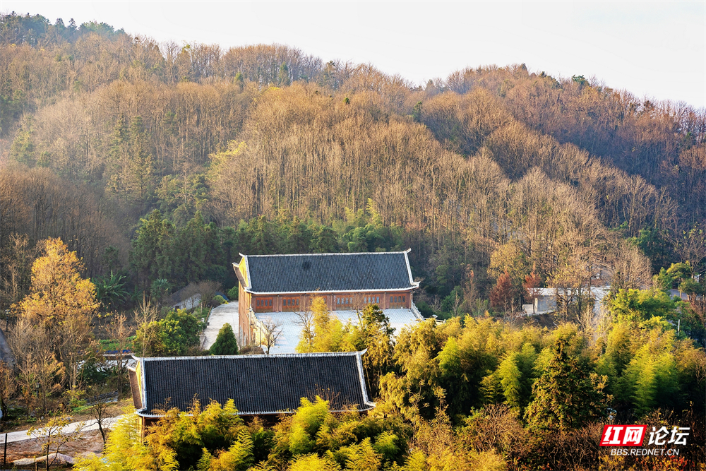 nEO_IMG__DSC5831 拷贝.jpg