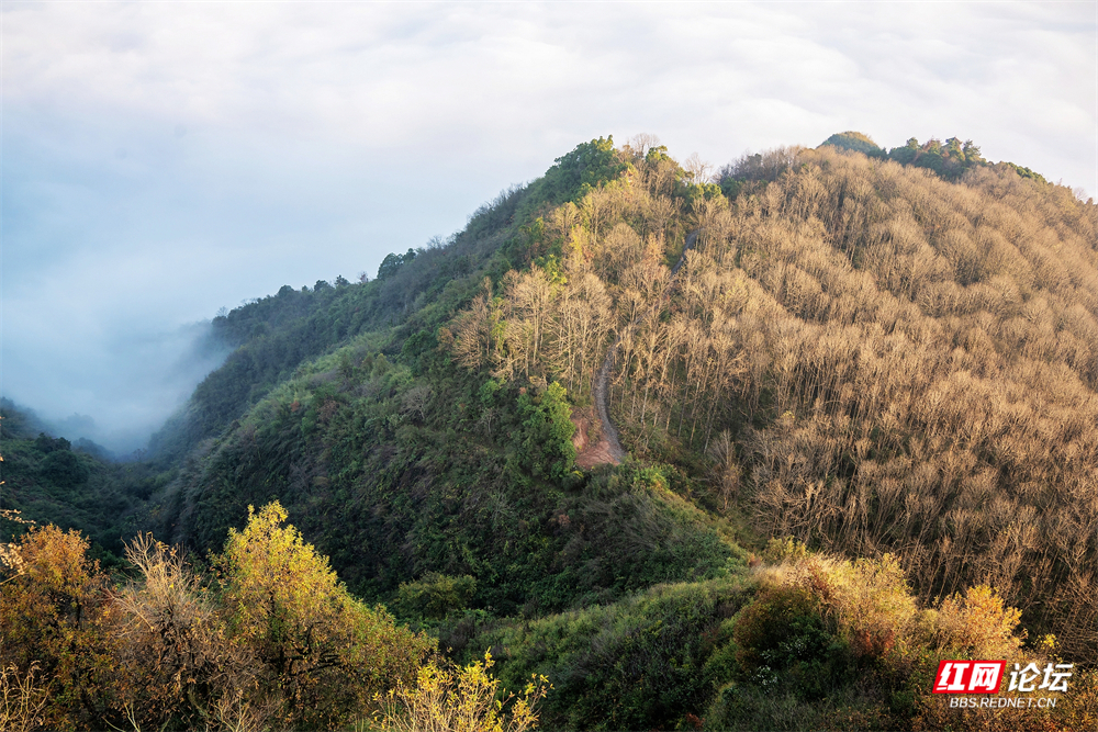 nEO_IMG__DSC5852 拷贝.jpg