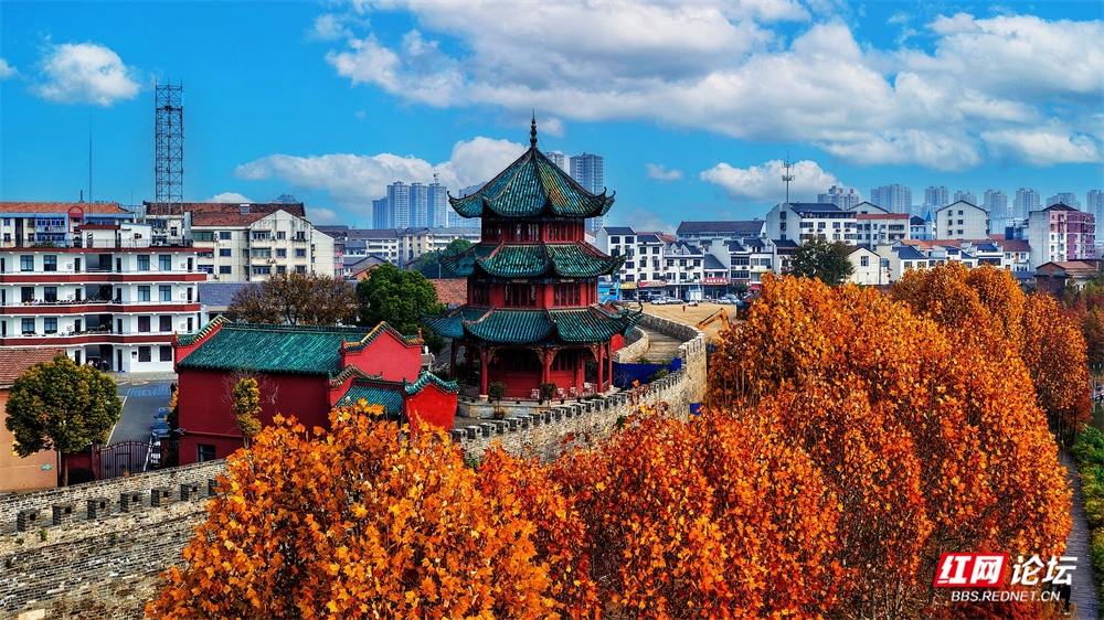 nEO_IMG_微信图片_20251205211708_121_1185.jpg nEO_IMG_微信图片_20251205211708_121_1185.jpg