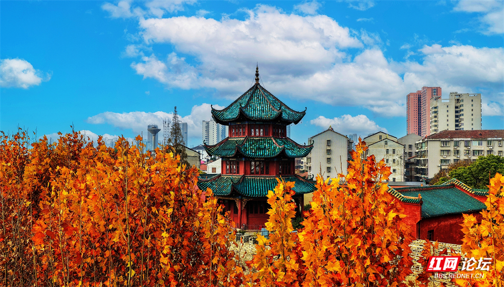 nEO_IMG_微信图片_20251205211707_120_1185.jpg nEO_IMG_微信图片_20251205211707_120_1185.jpg