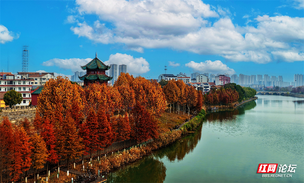 nEO_IMG_微信图片_20251205211712_124_1185.jpg nEO_IMG_微信图片_20251205211712_124_1185.jpg