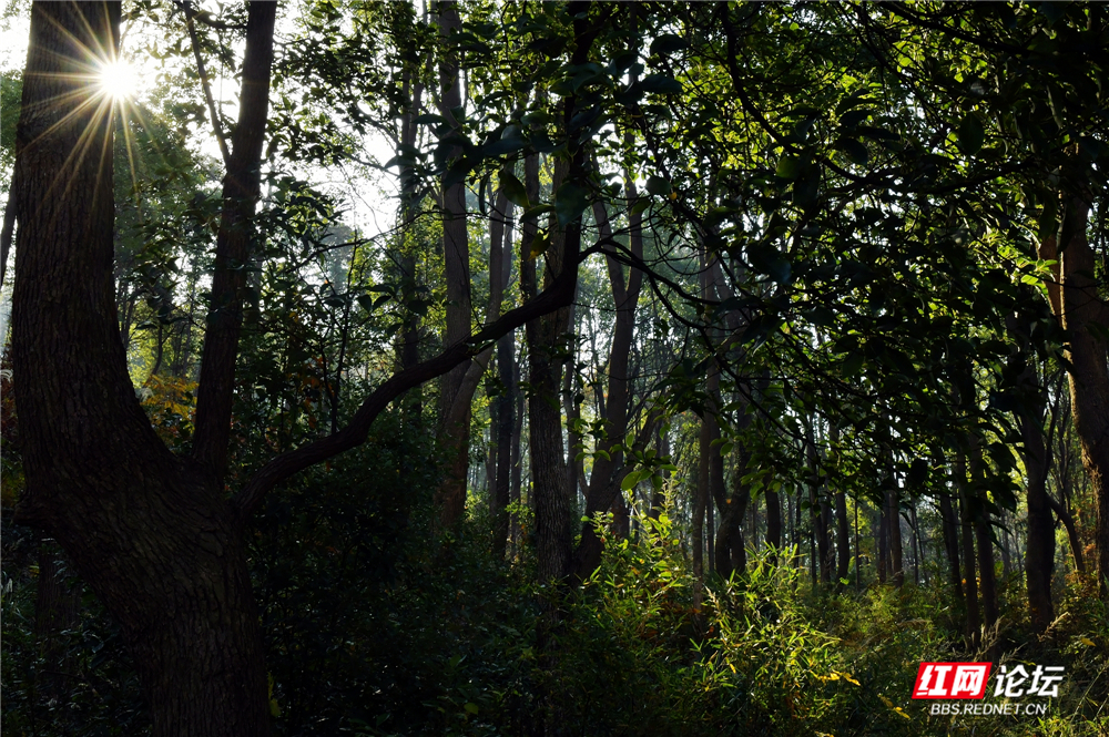 nEO_IMG_微信图片_20251207162130_139_1185.jpg nEO_IMG_微信图片_20251207162130_139_1185.jpg