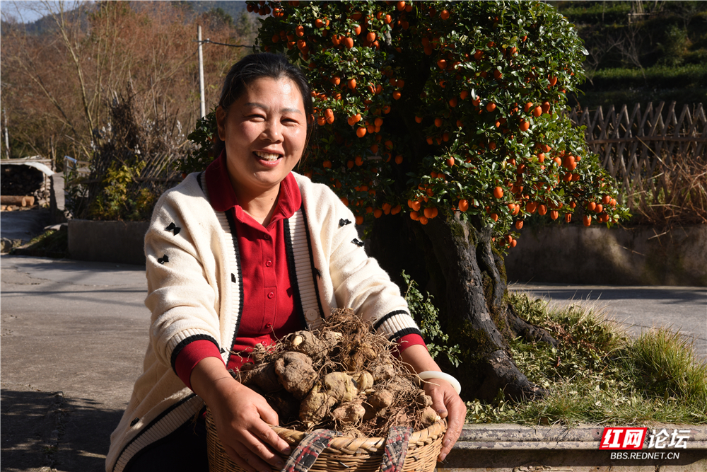 06、喜获丰收.jpg 06、喜获丰收.jpg