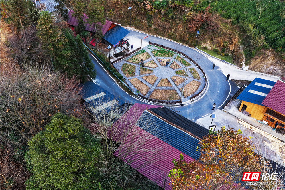 04、柳林村“中药材植物园”.jpg 04、柳林村“中药材植物园”.jpg