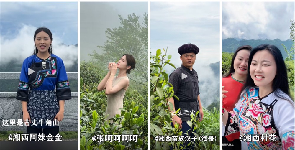 03 网络达人推介古丈。.jpg