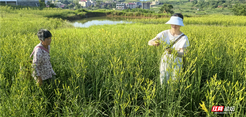 nEO_IMG_微信图片_2025-06-10_164924_014.jpg