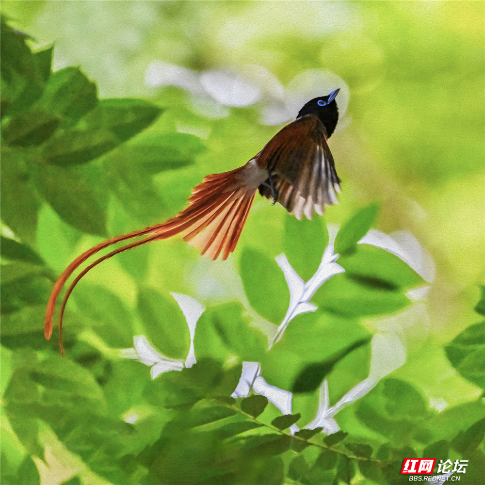 nEO_IMG_微信图片_2025-06-23_170839_904.jpg