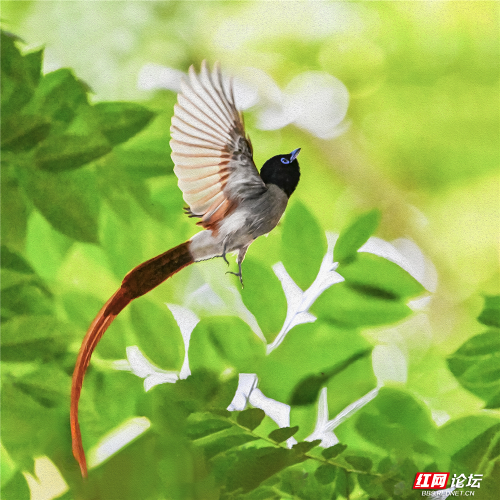 nEO_IMG_微信图片_2025-06-23_170834_824.jpg