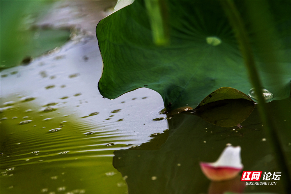 nEO_IMG_微信图片_2025-06-29_093703_791.jpg nEO_IMG_微信图片_2025-06-29_093703_791.jpg