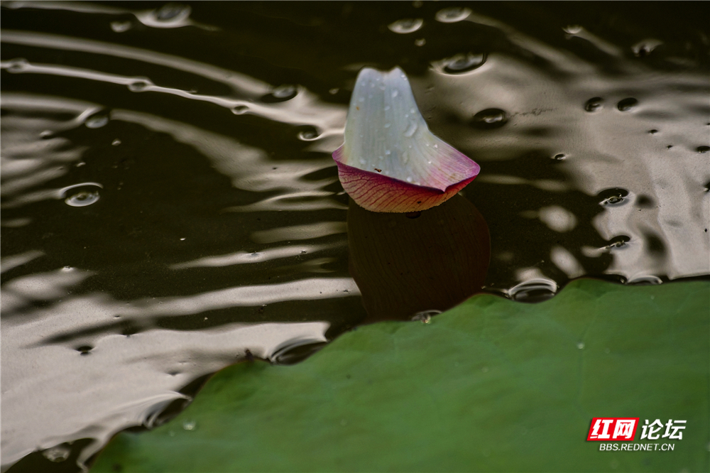 nEO_IMG_微信图片_2025-06-29_093709_413.jpg nEO_IMG_微信图片_2025-06-29_093709_413.jpg