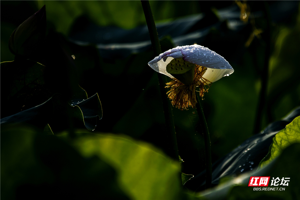 nEO_IMG_微信图片_2025-06-29_093730_340.jpg nEO_IMG_微信图片_2025-06-29_093730_340.jpg