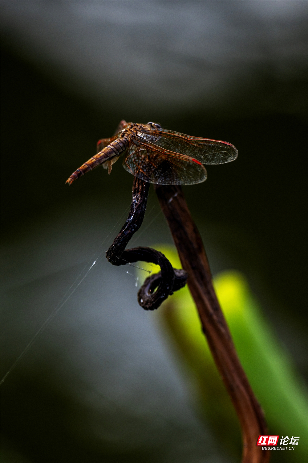 nEO_IMG_微信图片_2025-06-29_093723_764.jpg nEO_IMG_微信图片_2025-06-29_093723_764.jpg