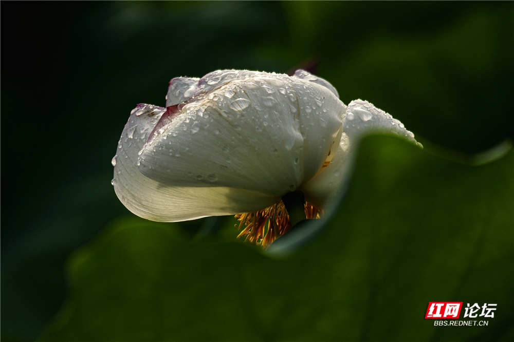 nEO_IMG_微信图片_2025-06-29_093544_077.jpg nEO_IMG_微信图片_2025-06-29_093544_077.jpg