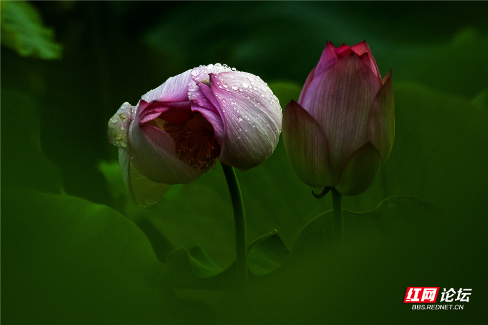 nEO_IMG_微信图片_2025-06-29_093745_980.jpg nEO_IMG_微信图片_2025-06-29_093745_980.jpg