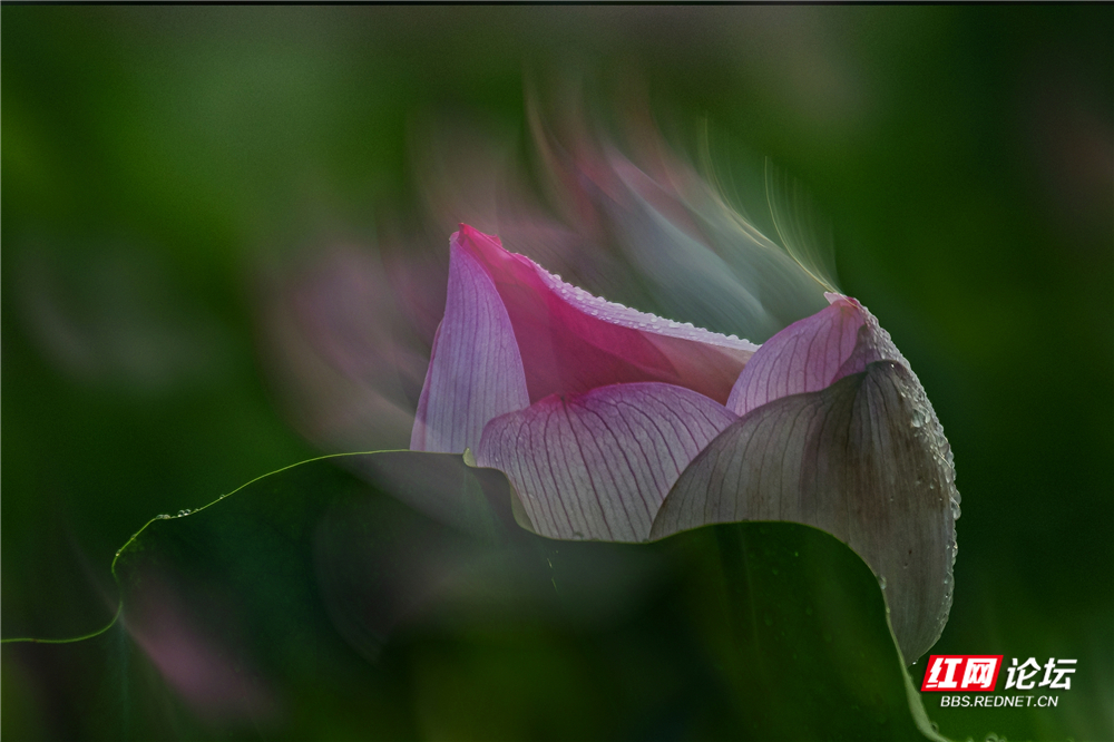 nEO_IMG_微信图片_2025-06-29_093738_454.jpg nEO_IMG_微信图片_2025-06-29_093738_454.jpg