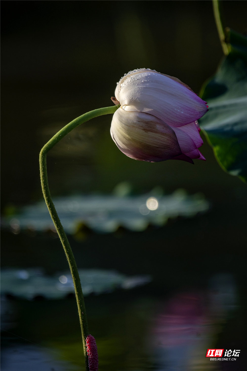 nEO_IMG_微信图片_2025-06-29_093715_604.jpg nEO_IMG_微信图片_2025-06-29_093715_604.jpg