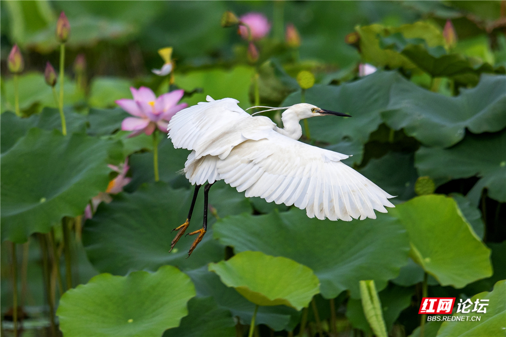 nEO_IMG_微信图片_2025-06-29_093653_695.jpg nEO_IMG_微信图片_2025-06-29_093653_695.jpg