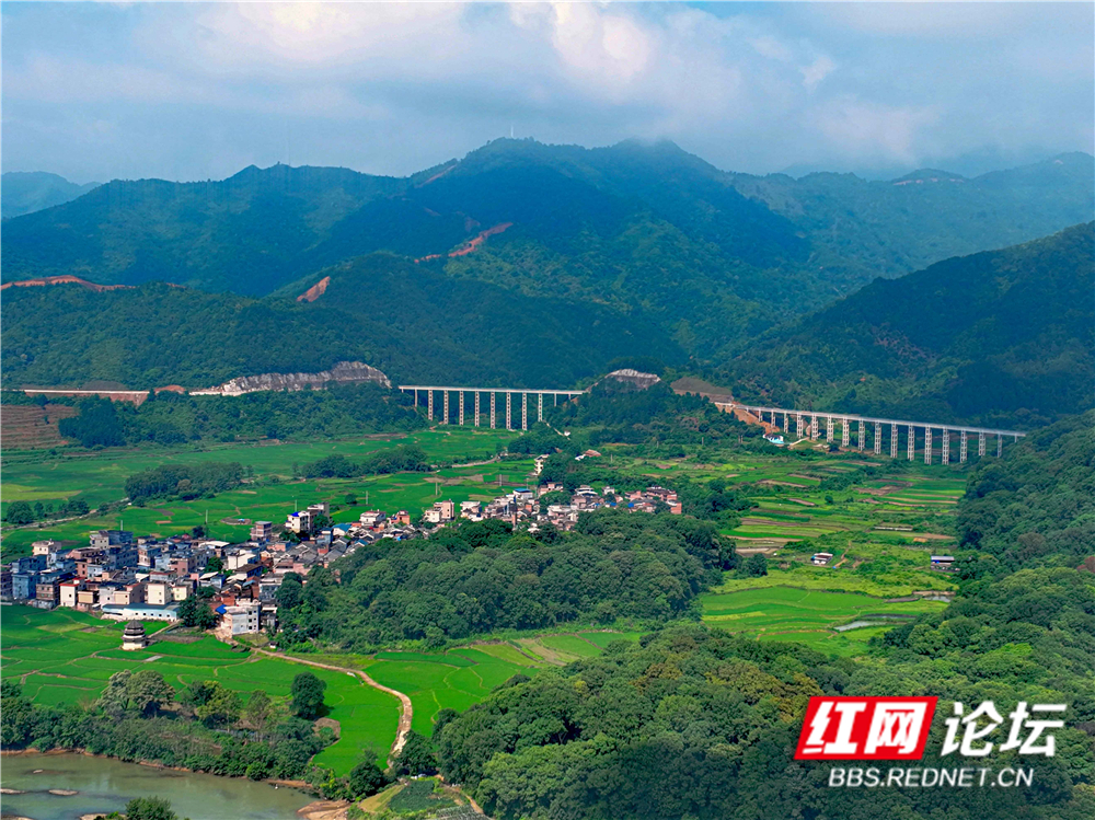 微信图片_2025-05-29_092808_201 拷贝.jpg