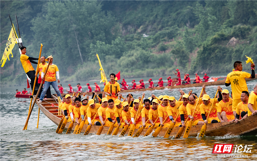 TWG_0923.jpg TWG_0923.jpg