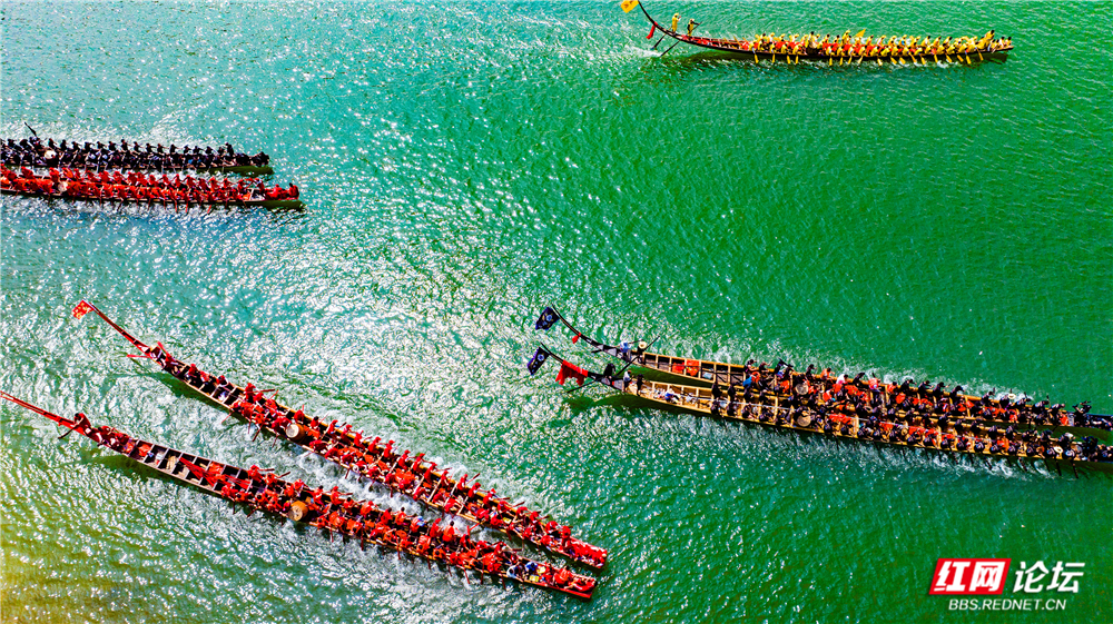 DJI_20250606102435_0170_D.jpg DJI_20250606102435_0170_D.jpg