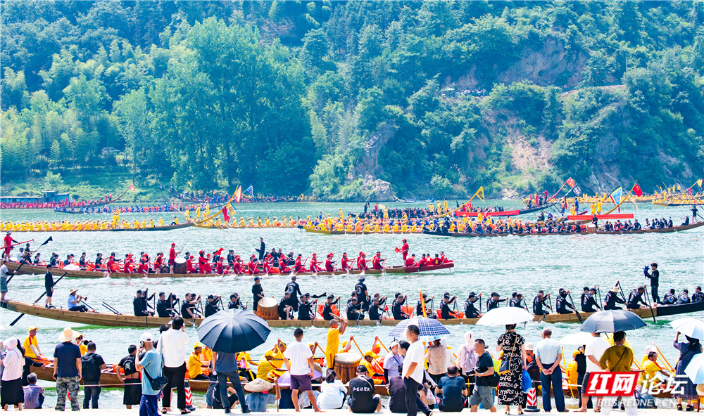 TWG_1148.jpg TWG_1148.jpg