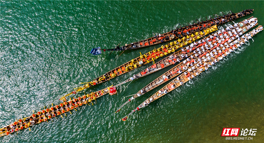 DJI_20250606102306_0154_D.jpg DJI_20250606102306_0154_D.jpg