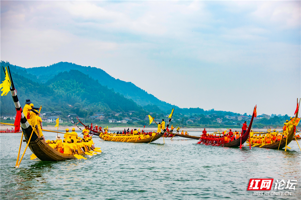 TWG_1072.jpg TWG_1072.jpg