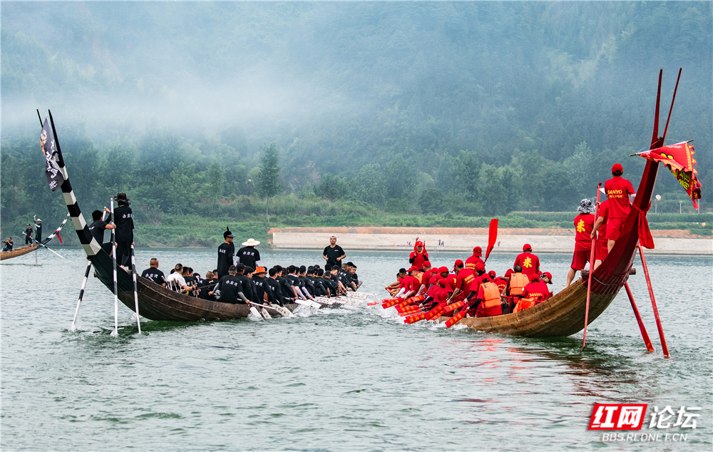 TWG_1062.jpg TWG_1062.jpg