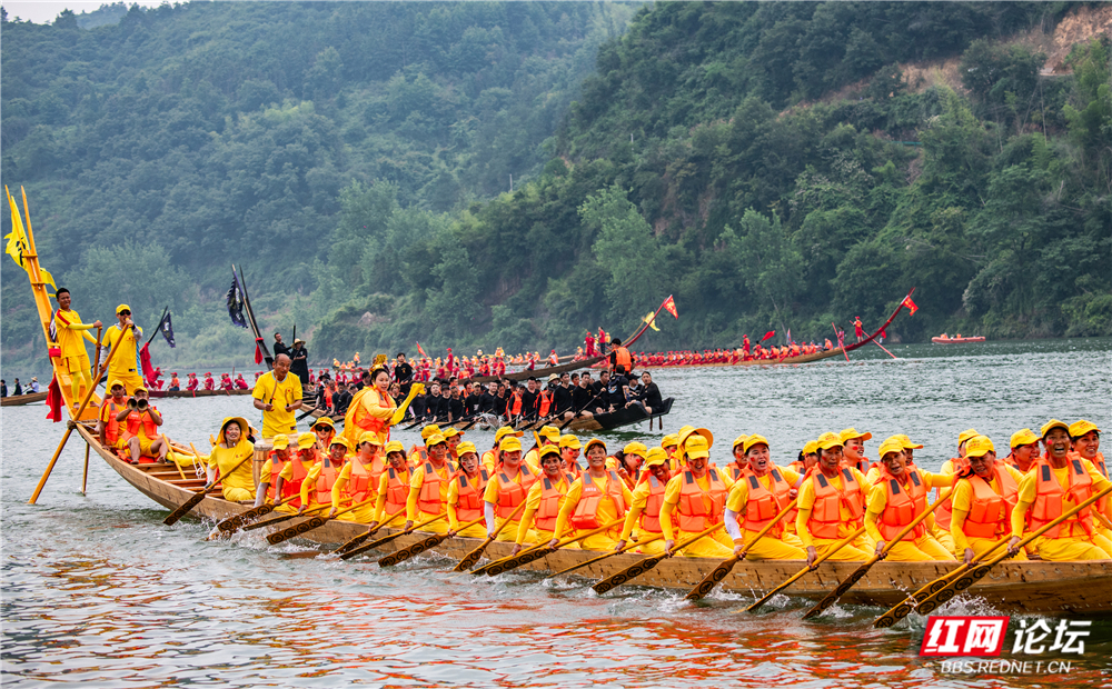 TWG_1054.jpg TWG_1054.jpg