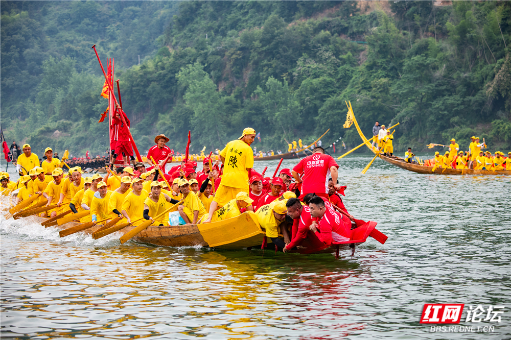 TWG_0993.jpg TWG_0993.jpg