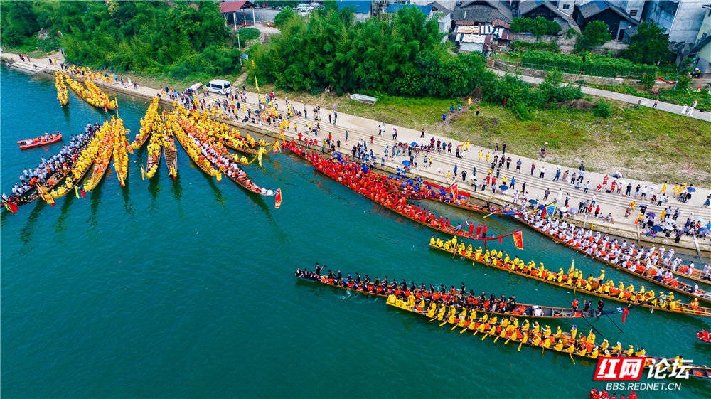 DJI_20250606095904_0077_D.jpg DJI_20250606095904_0077_D.jpg