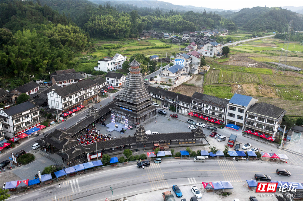 DJI_0220.jpg