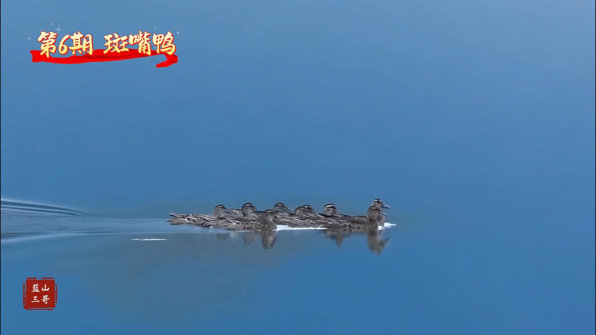 7月12日-封面.jpg 7月12日-封面.jpg