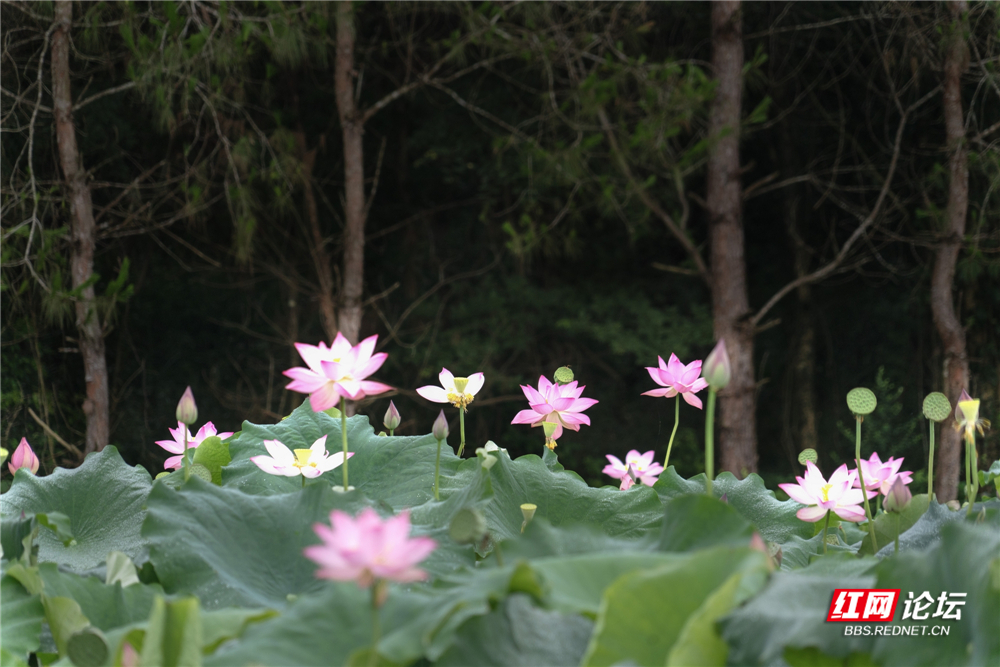 nEO_IMG_DSC01471 拷贝.jpg