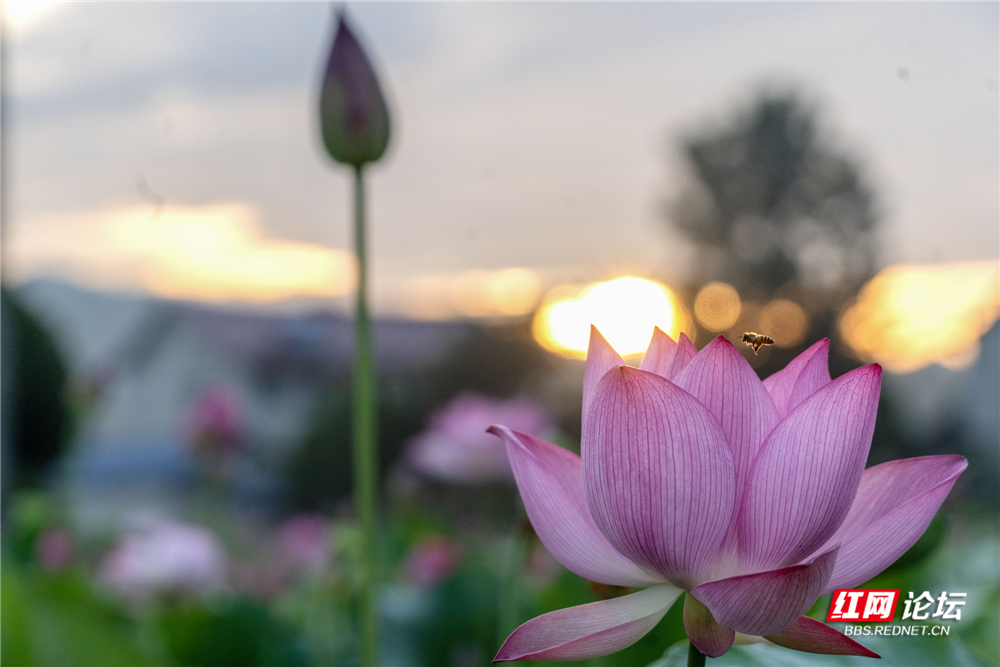 nEO_IMG_DSC01090 拷贝.jpg