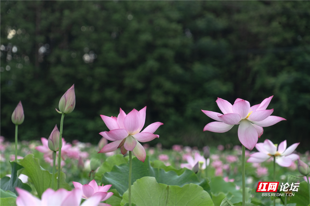 nEO_IMG_DSC01376 拷贝.jpg