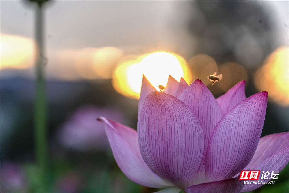 nEO_IMG_DSC01089 拷贝.jpg