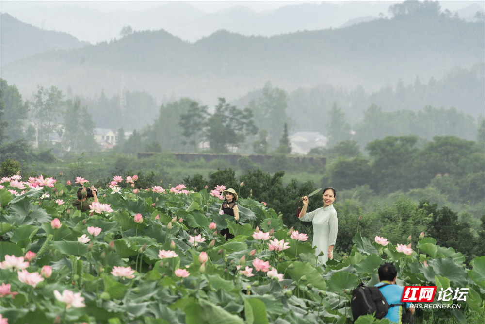 nEO_IMG_DSC01292 拷贝.jpg